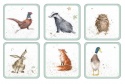 WRENDALE DESIGNS DIFFERENT  COASTERS S/6