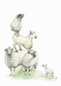 SHEEP STACK