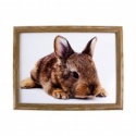 LAP TRAY LYING BUNNY