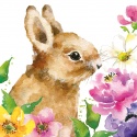 AM I CUTE? LUNCH NAPKIN