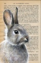 DOUBLE CARD WITH ENVELOPE RABBIT