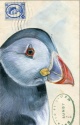 DOUBLE CARD WITH ENVELOPE PUFFIN