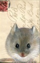 DOUBLE CARD WITH ENVELOPE MOUSE