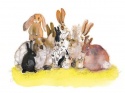 DUBBELE KAART MET ENV. FLUFFY BUNNIES