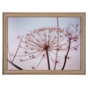 LAP TRAY HOGWEED