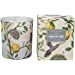 GISELA GRAHAM HUMMINGBIRD SCENTED CANDLE