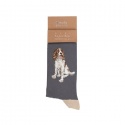 WRENDALE DESIGNS MENS WILLOW SOCKS