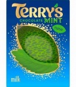 TERRY'S MILK CHOCOLATE MINT