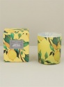 GISELA GRAHAM LEMON TREE BOXED SCENTED CANDLE IN A POT