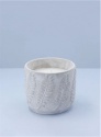 GISELA GRAHAM LEAF DESIGN LARGE CITRONELLA CANDLE IN CONCRETE POT