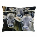 CUSHION CALVES VELVET