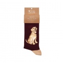 WRENDALE DESIGNS MENS GOOD AS GOLD - GOLDEN LABRADOR SOCKS