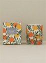 GISELA GRAHAM SATSUMA BOXED SCENTED CANDLE IN A POT