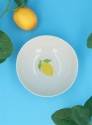 GISELA GRAHAM STONEWARE BOWL LEMON HANDPAINTED