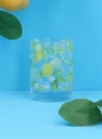 GISELA GRAHAM LEMON TUMBLER/DRINKING GLASS