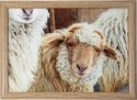 LAP TRAY BEIGE SHEEP