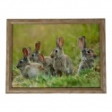 LAP TRAY RABBIT FAMILY