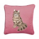 WRENDALE DESIGNS EMBROIDED CUSHION FELINE FABULOUS CAT
