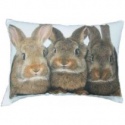 CUSHION WITH 3 RABBITS CANVAS