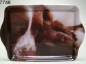 MELAMINE TRAY FROM COUNTRY MATTERS LTD SLEEPING SPANIEL & PUP