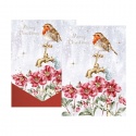 WRENDALE DESIGNS THE CHRISTMAS VISITOR ROBIN 8 LUXURY CHRISTMAS CARDS
