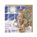 WRENDALE DESIGNS CHRISTMAS STARS CAT