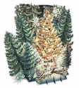 TREES 3D CARD