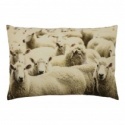 CUSHION SHEEP CANVAS